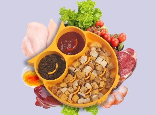고양이의 씹는 매트 흡입컵 반려동물 침착한 먹이 그릇